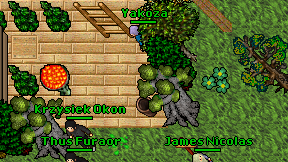 Yakoza on screen