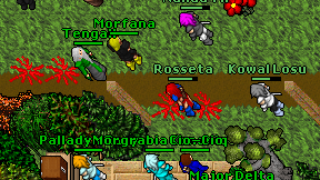 Rosseta on screen