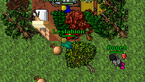 Leslabion on screen