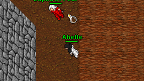 Ahelle on screen