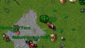 Vulyn on screen