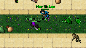 Golek Zala on screen
