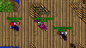 Lynxzappa on screen