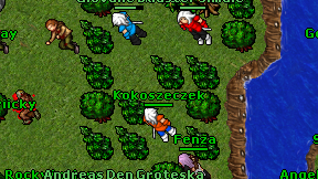 Kokoszeczek on screen