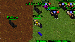 Palith on screen