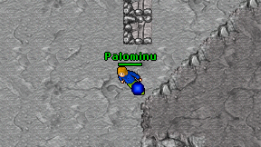 Palominu on screen