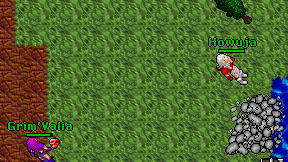 Howuja on screen
