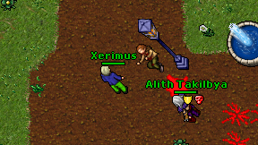 Xerimus on screen