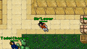 Sir'Lower on screen