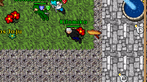 Kilomiko on screen