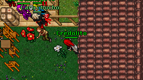 Credolito on screen