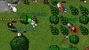 Elvas Rodor on screen