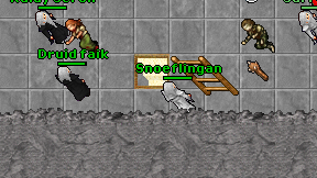 Snoeflingan on screen