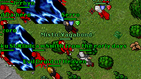 Mistic Vagabond on screen