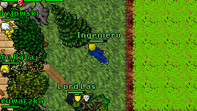 Ingeniero on screen