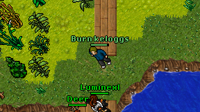 Burn keloggs on screen