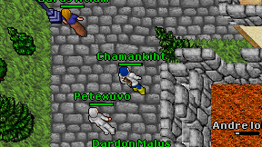 Chamankiht on screen
