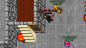 Fald Gron on screen