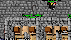 Mage Prodigy on screen