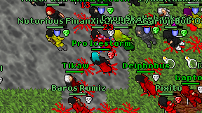 Pro Icestorm on screen