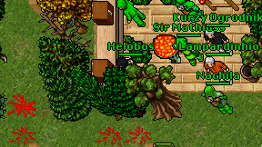 Helobos on screen