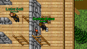 Zoden Kous on screen