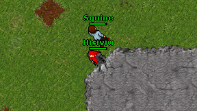 Hisiviw on screen