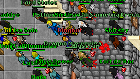 Dingnut on screen