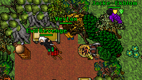 Evil Revenge on screen