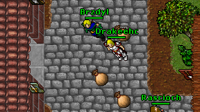 Brzdyl on screen