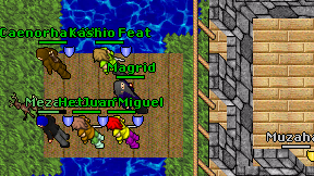 Magrid on screen