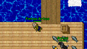 Ferox Artus on screen