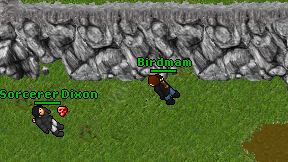 Birdmam on screen