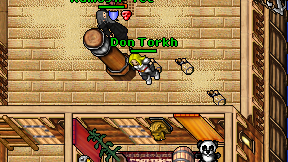 Don Torkh on screen