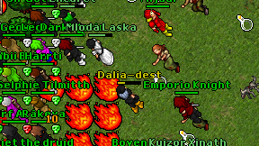 Dalia-dest on screen