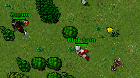 Blok Sain on screen