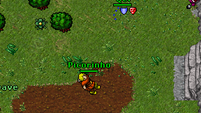 Picorinho on screen