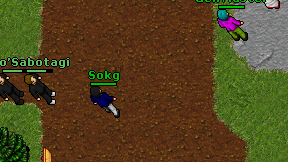 Sokg on screen
