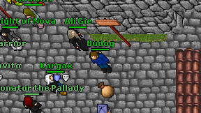Budog on screen
