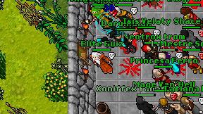 Elite Guiz on screen
