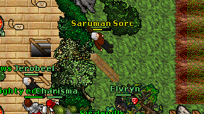 Saruman Sorc on screen