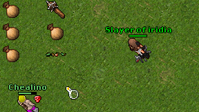 Slayer of iridia on screen