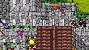 Ceroton on screen