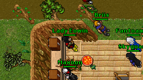 Lady Eowin on screen