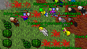 Templar Paleton on screen