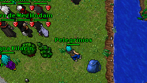 Pelegrinios on screen