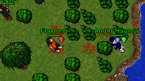Flasherr on screen