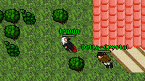Irguin on screen