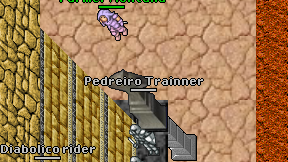 Pedreiro Trainner on screen
