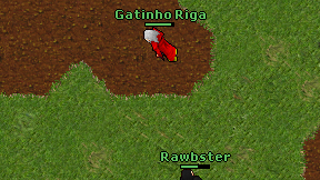 Gatinho Riga on screen